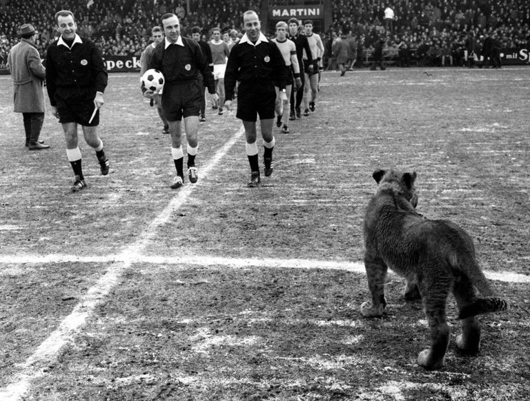 مباراة بروسيا دورتموند وشالكه عام 1969