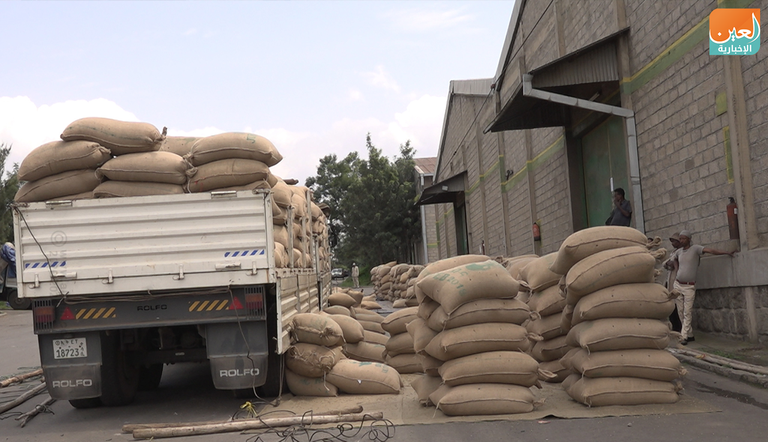 شافي عمر مسؤول بهيئة القهوة والشاي الإثيوبية