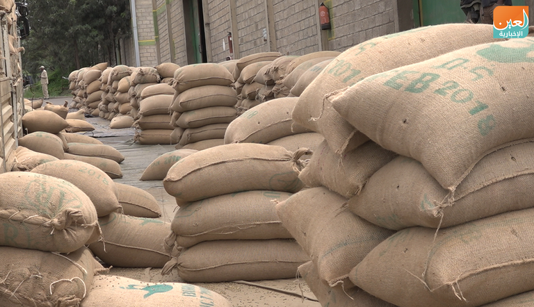 شافي عمر مسؤول بهيئة القهوة والشاي الإثيوبية