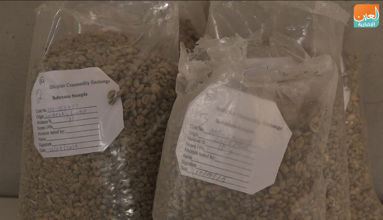 شافي عمر مسؤول بهيئة القهوة والشاي الإثيوبية