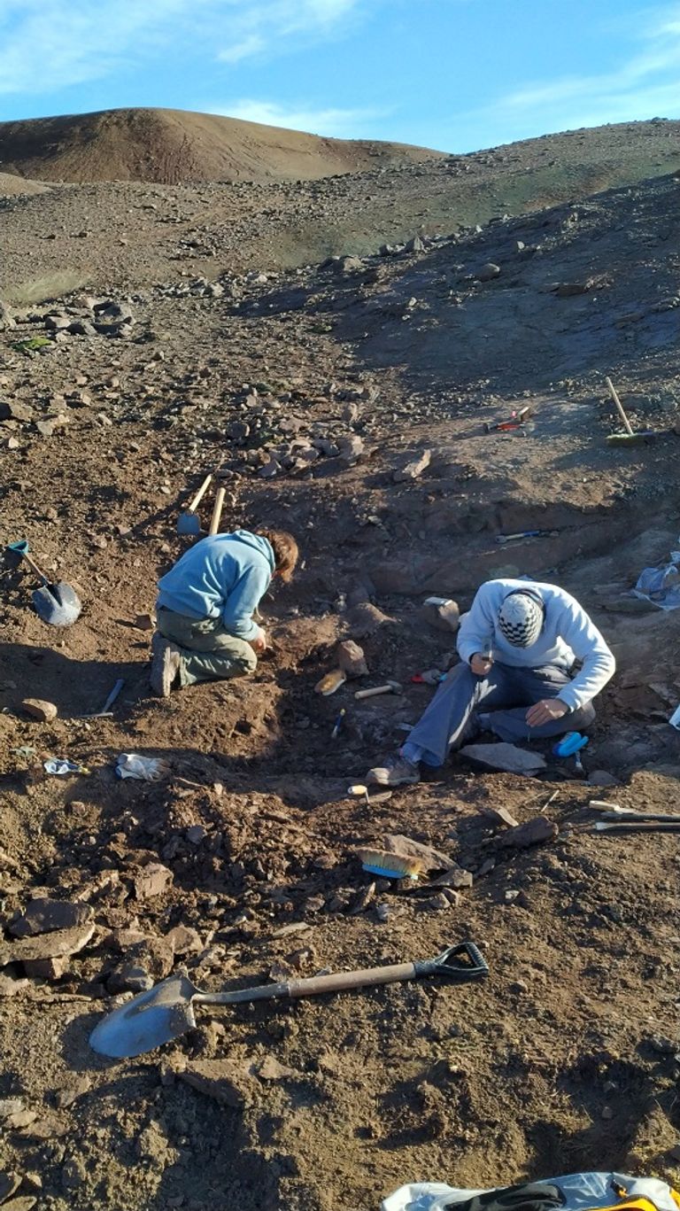 ديناصور الميجارابتور يتميز بسرعته وذيله الطويل