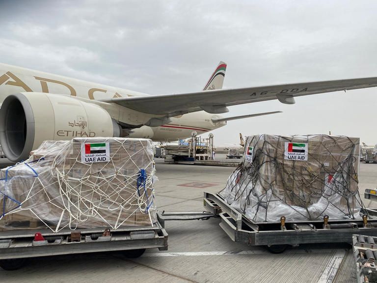 مساعدات إماراتية ضد كورونا في طريقها إلى النيجر