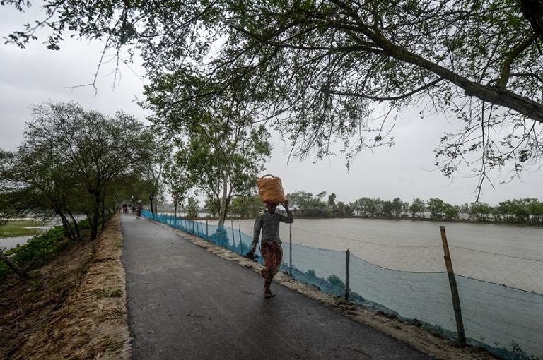 الإعصار أمفان يقتلع الأشجار