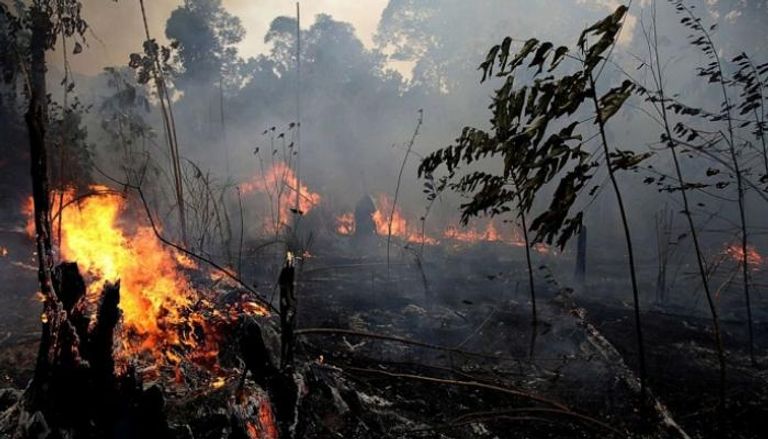 حريق غابات الأمازون في البرازيل