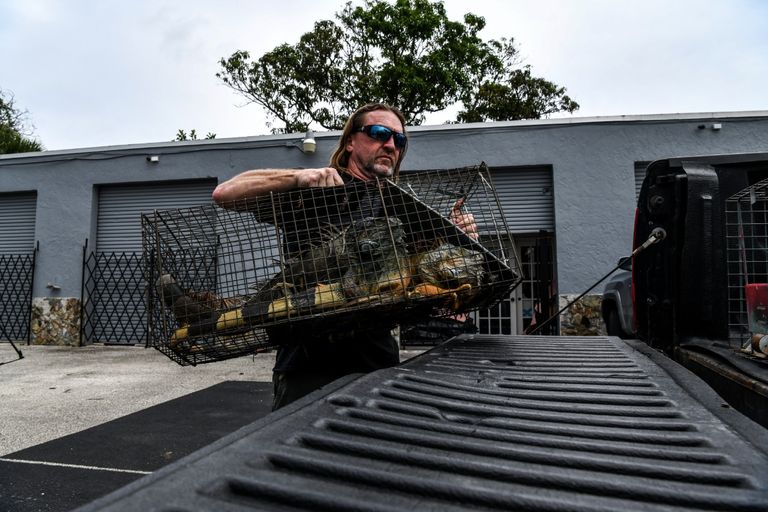 براين وودز يعمل على إحدى الكمامات في ورشته في ميامي