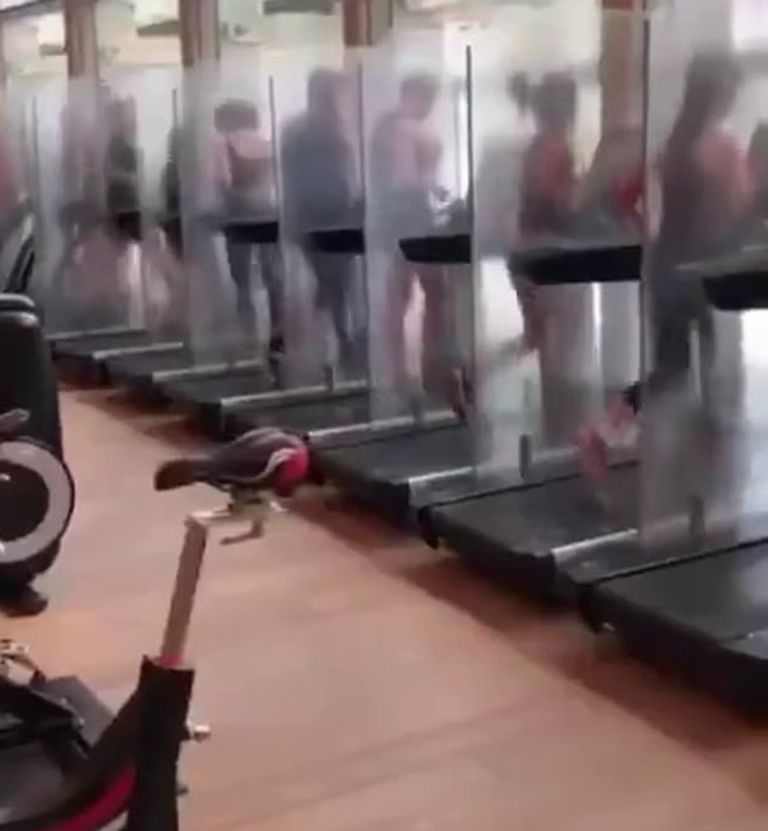 لا مجال في الوقت الراهن لعودة الحياة بنفس سلوكيات ما قبل كورونا