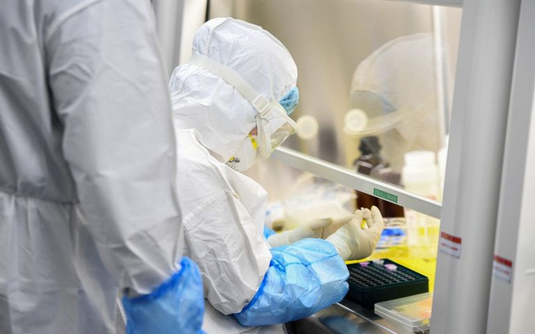 لقاح السل رهان بلغاريا لمكافحة كورونا