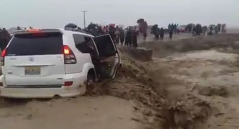 الدكتور رياض الجريري