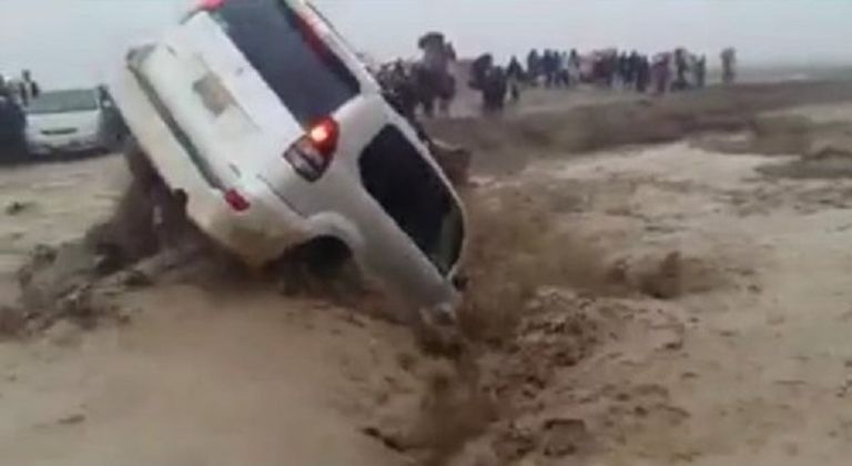 الدكتور رياض الجريري