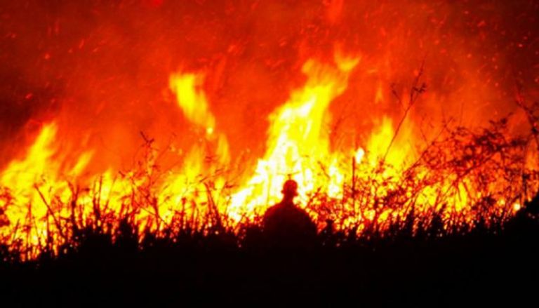 حريق الغابات في إيران