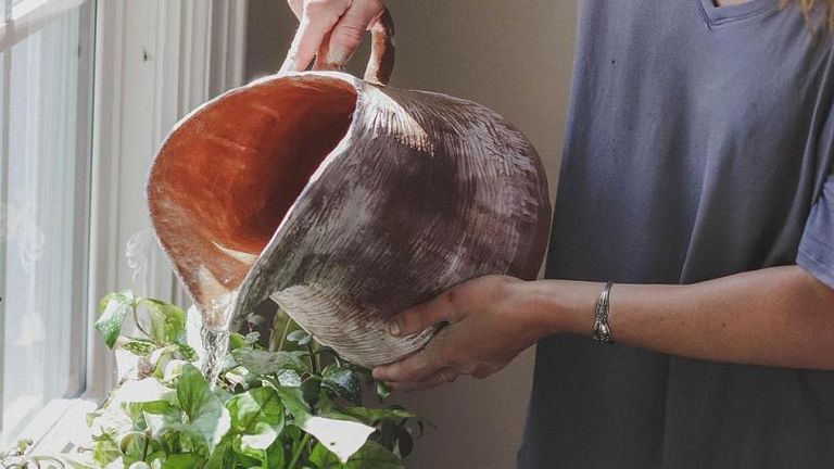 شركة أسترالية تستخدم البطاريات القديمة في تغذية النباتات