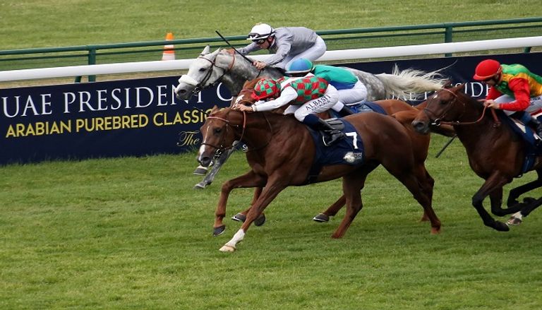 سباقات كأس رئيس دولة الإمارات - صورة أرشيفية