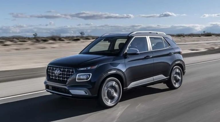Palisade 2021