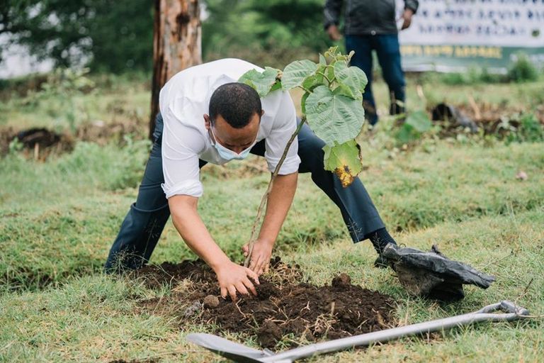 رئيس الوزراء الإثيوبي آبي أحمد