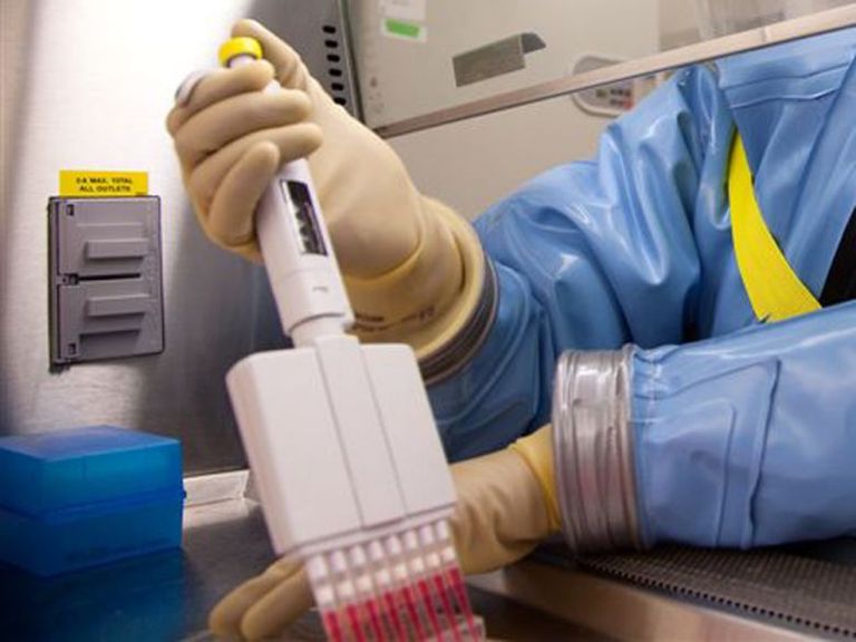 الإمارات حققت المركز الثالث عالميا في رضا الشعب عن إجراءات مكافحة كورونا