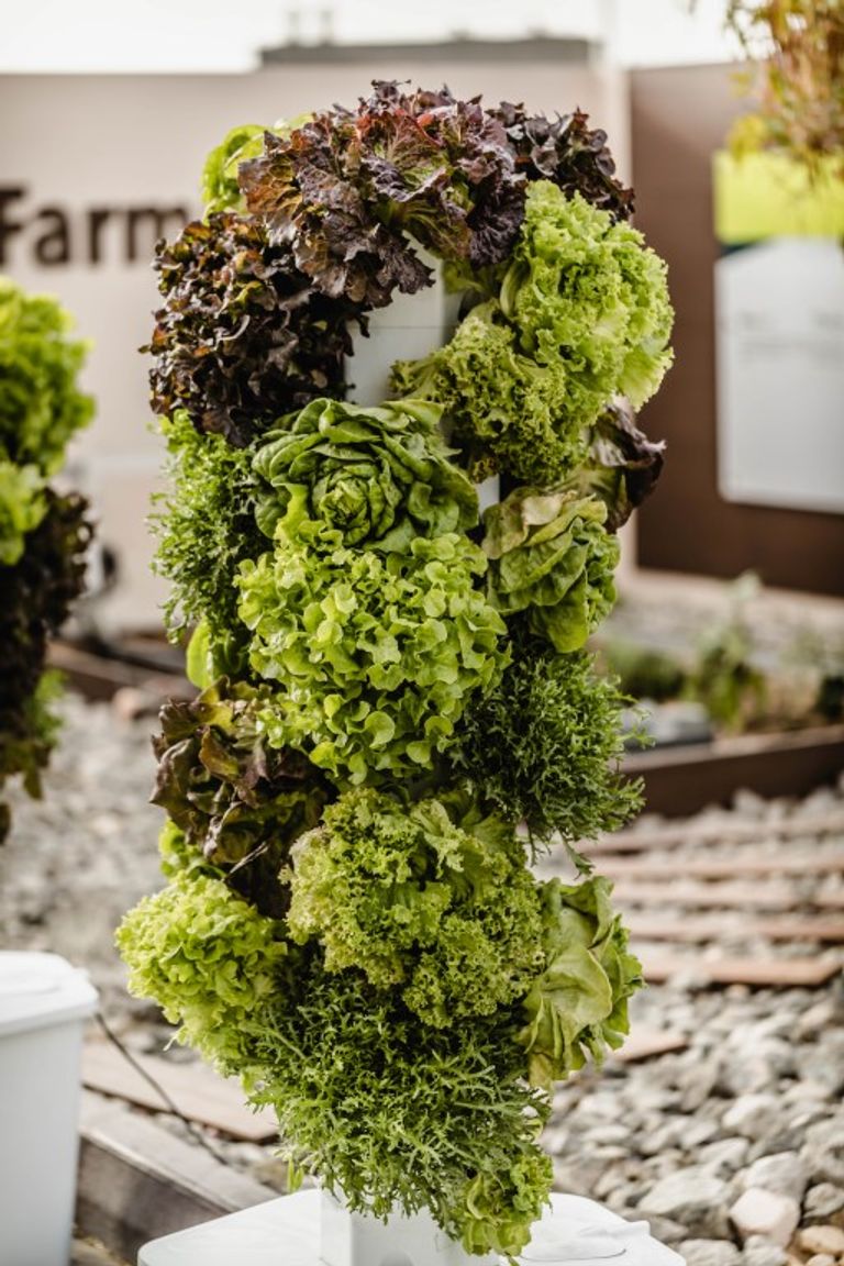 شعار شركة مصدر