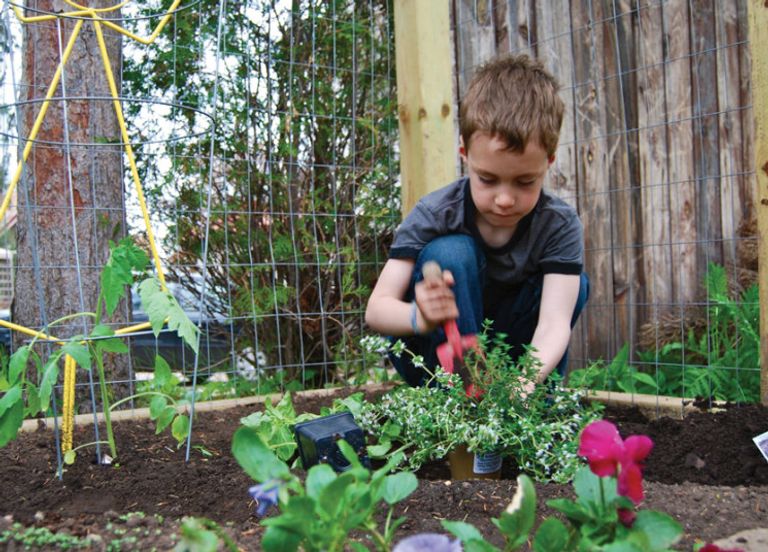 الممارسات الصديقة للبيئة لدى طفلك