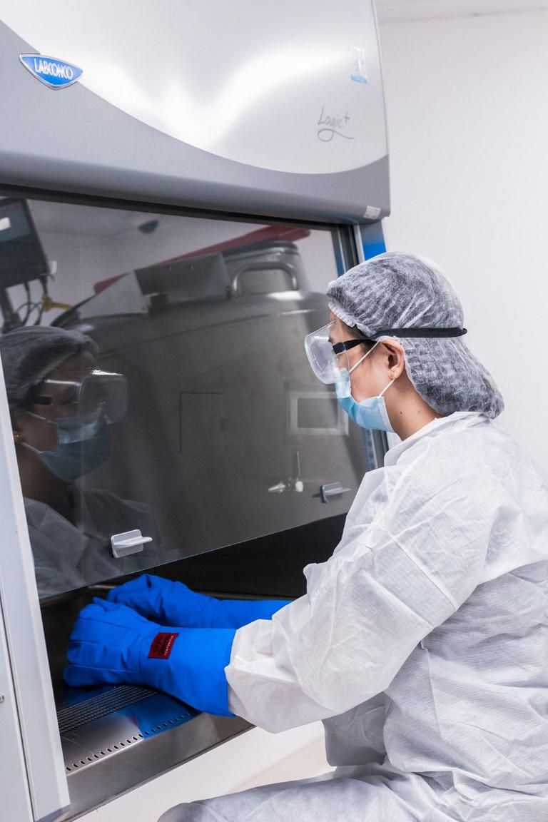 نتائج أولية واعدة لعلاج كورونا بالخلايا الجذعية في الإمارات