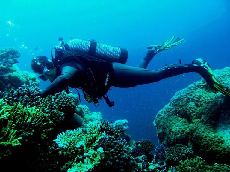 رياضة الغوص أصبحت فلسلفة حياة بالنسبة لكثيرين 