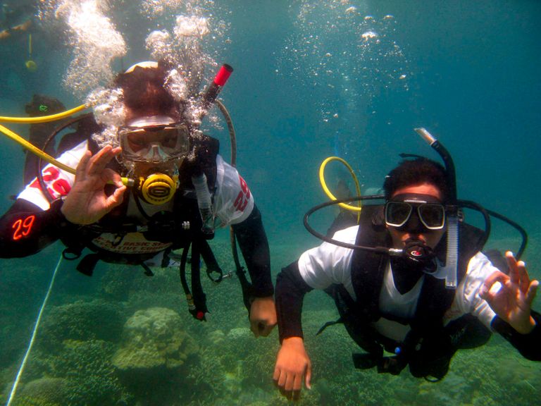 رياضة الغوص أصبحت فلسلفة حياة بالنسبة لكثيرين 