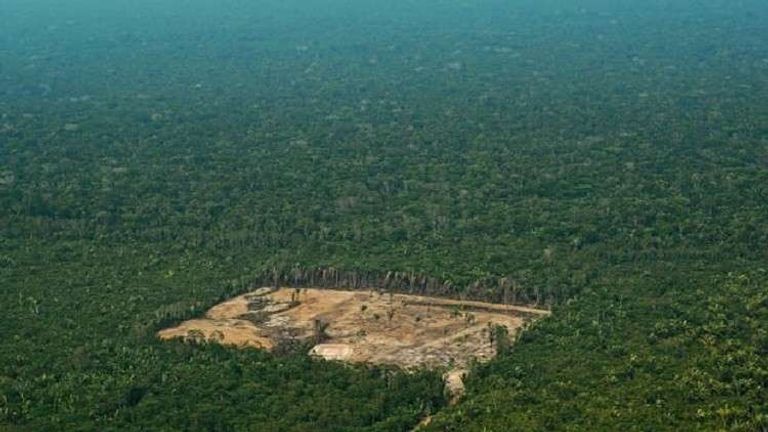 غابات الأمازون