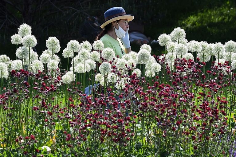 موسكو تنبض بالحياة مجددا