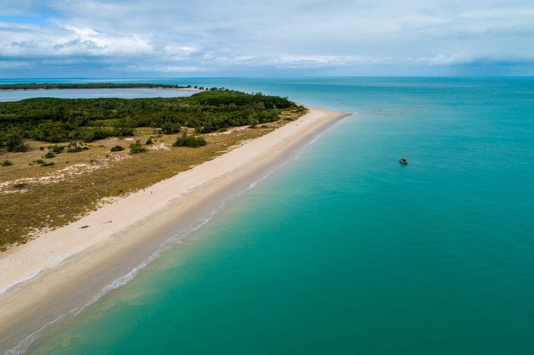 طائرات بدون طيار تتعقب السلاحف البحرية في أستراليا