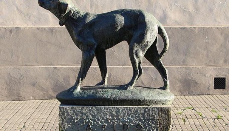 تمثال الكلب فيدو الإيطالي