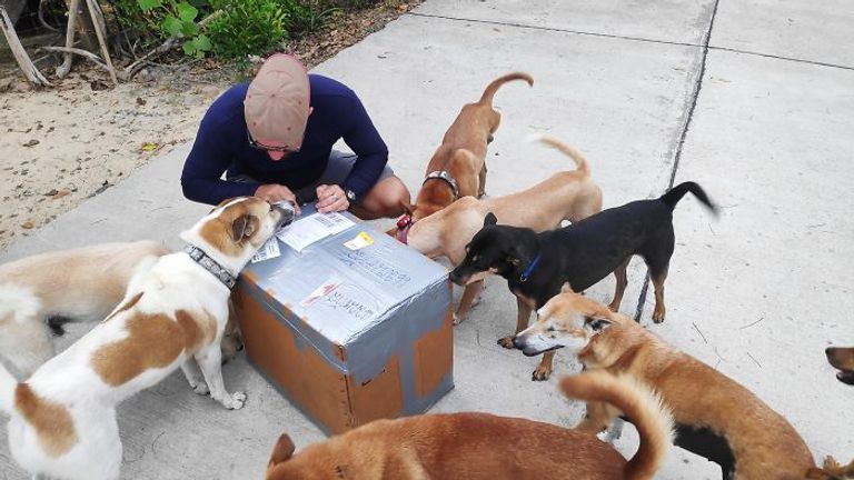 مانتاس أثناء إطعام كلابه