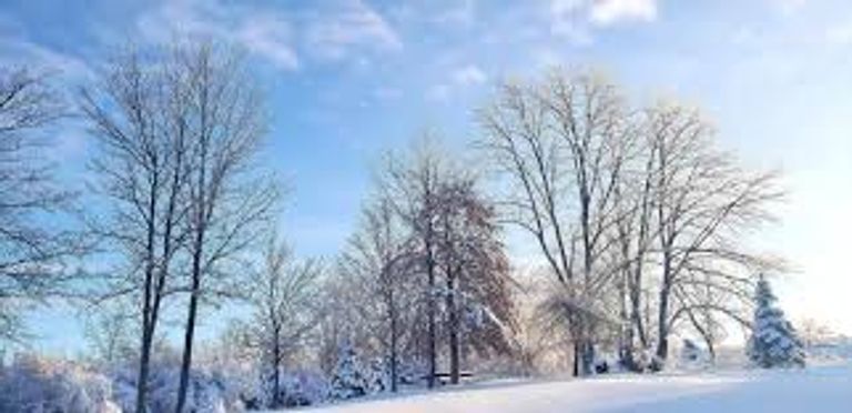 الثلوج الأمهات المرضعات لا ينقلن فيروس كورونا المستجد إلى أطفالهن