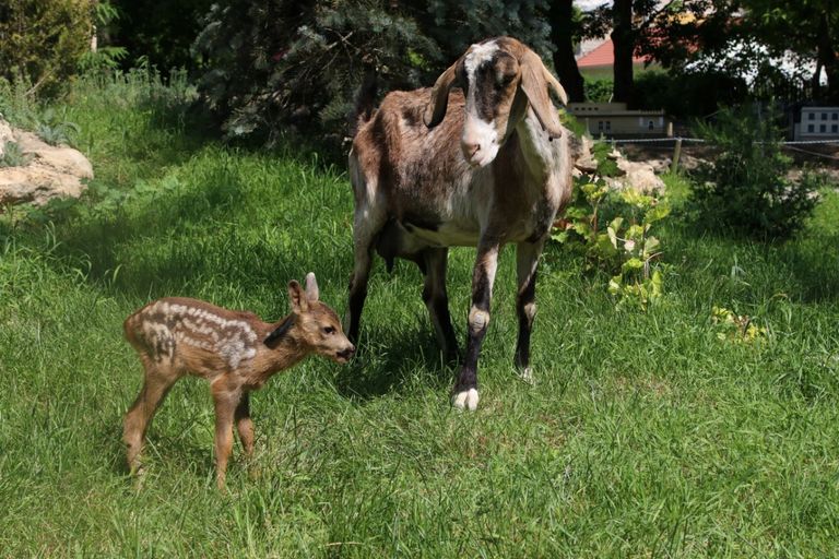 مسلح يقتحم بسيارته مظاهرة تندد بمقتل فلويد وينزل شاهرا مسدسه