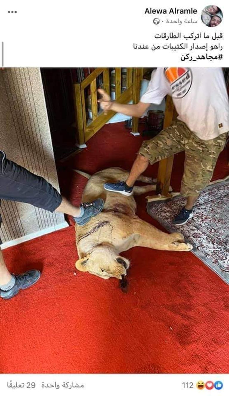 مليشيات تركيا تحرق الأشجار في ترهونة