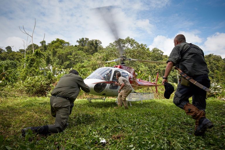 لا موسكيتيا.. حاضنة الحيوانات المنقرضة في هندوراس