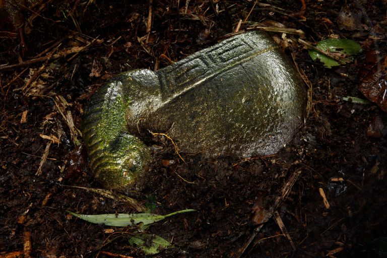 لا موسكيتيا.. حاضنة الحيوانات المنقرضة في هندوراس