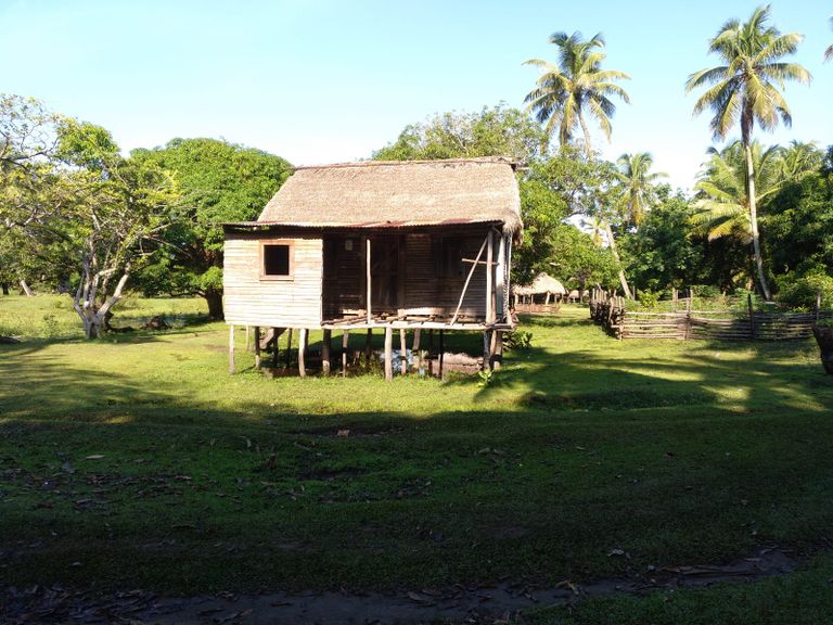 لا موسكيتيا.. حاضنة الحيوانات المنقرضة في هندوراس