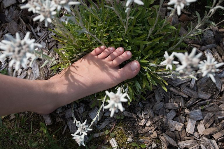 حديقة الحواس الـ5 في إيطاليا