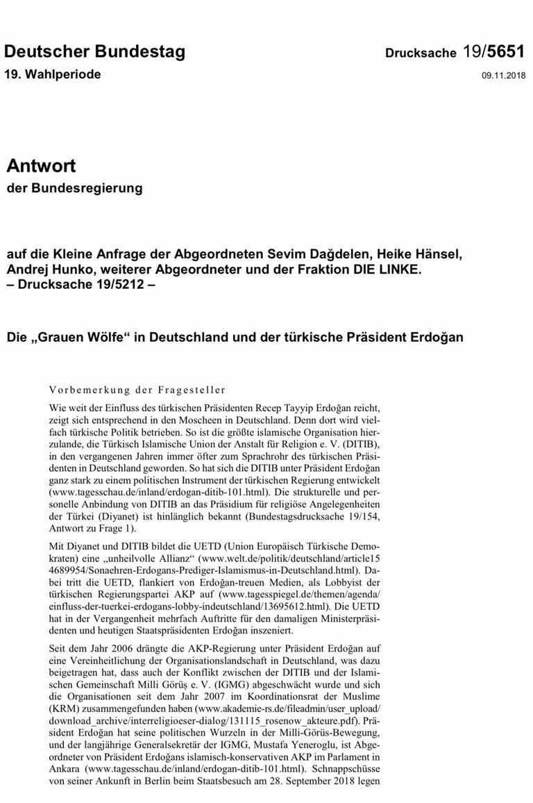 تركي بألمانيا يحمل صورة أردوغان ويشير بشعار الذئاب الرمادية
