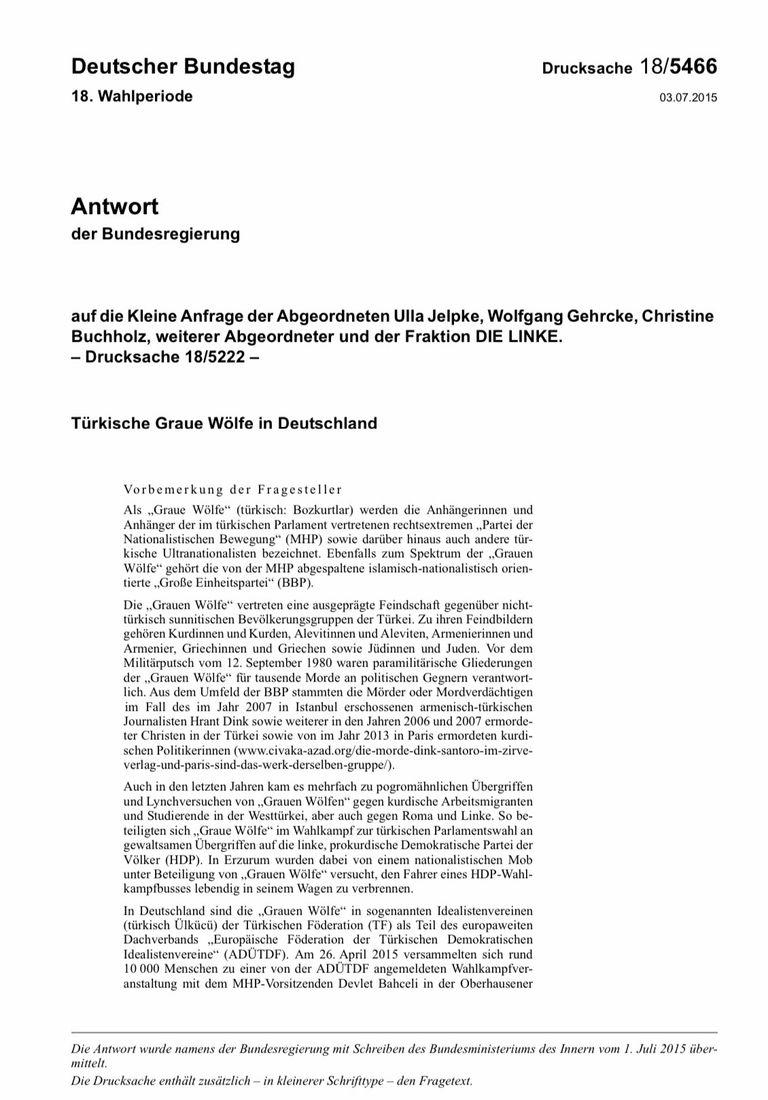 تركي بألمانيا يحمل صورة أردوغان ويشير بشعار الذئاب الرمادية