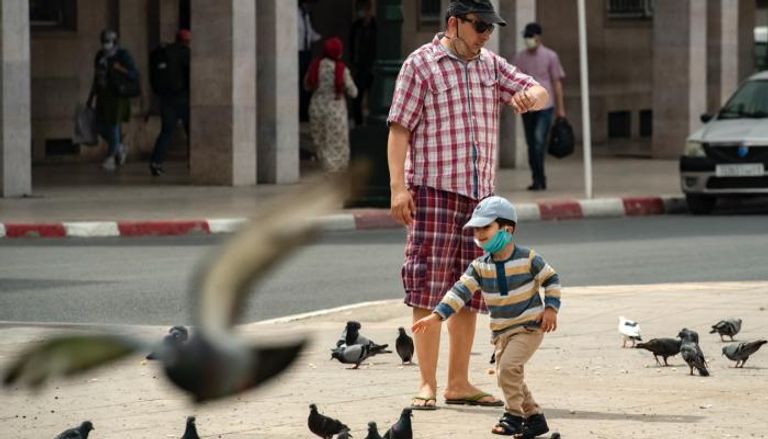 طفل يلهو مع الطيور في المغرب