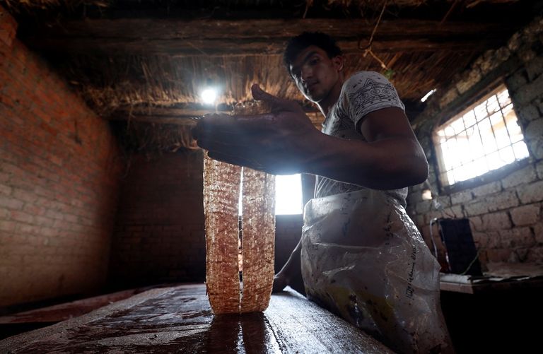 طفل يحمل ورقة بردي