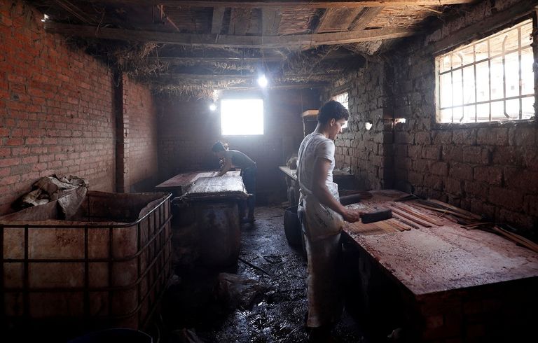 طفل يحمل ورقة بردي