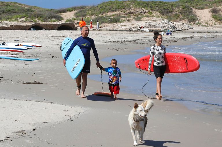 حمامة جربان مع اثنين من طلابها