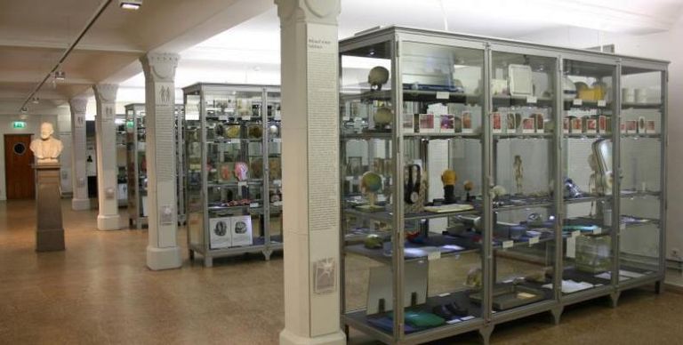 الرئة لطفل توفي وعمره عامين