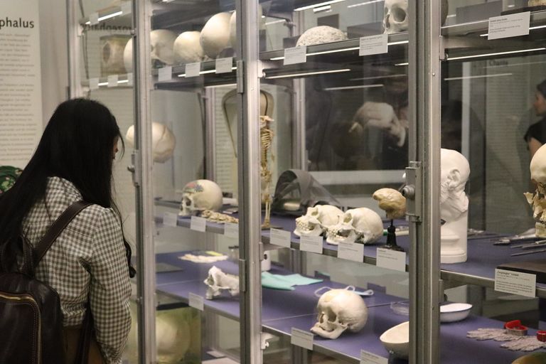 الرئة لطفل توفي وعمره عامين