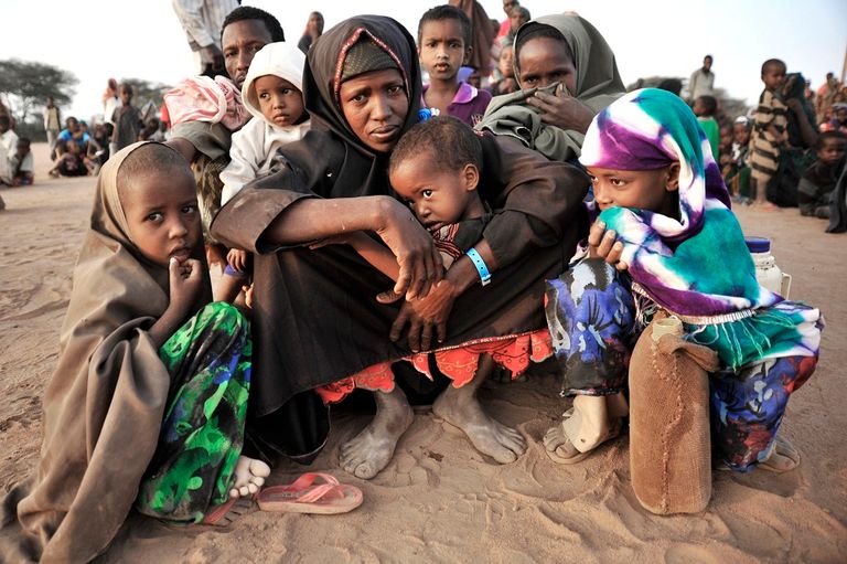80 مليون شخص حول العالم في عداد النازخين