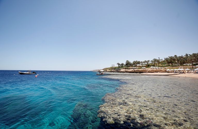 سائحون يسبحون في خليج العقبة بمنتجع شرم الشيخ المطل على البحر الأحمر - رويترز