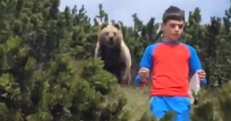 دب يهاجم رجلا وابنه في شمال إيطاليا