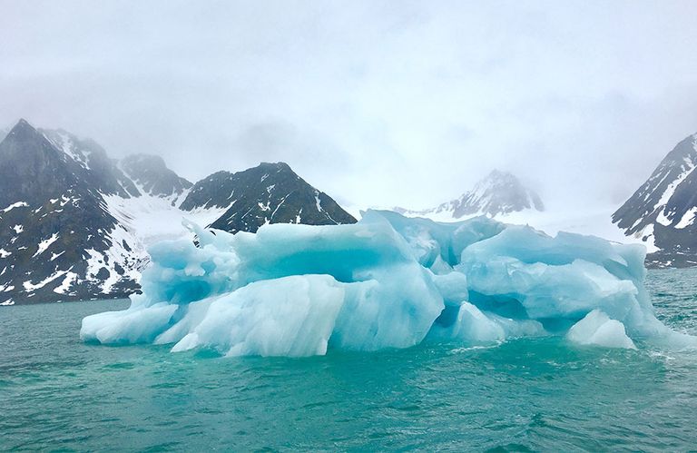 نهر جليدي في نيوزيلندا