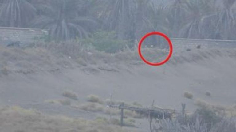 مدفعية القوات اليمنية المشتركة