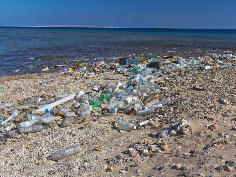 بحار أوروبا في خطر